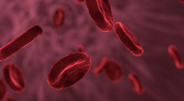 Dunkelfeld Blutuntersuchung (Vitalblutuntersuchung) nach Prof. Dr. Enderlein